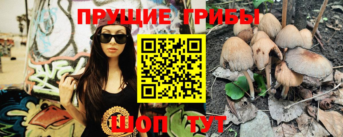 купить   Галлюциногенные грибы Magic Shrooms  Вход с VPN  Кашира 